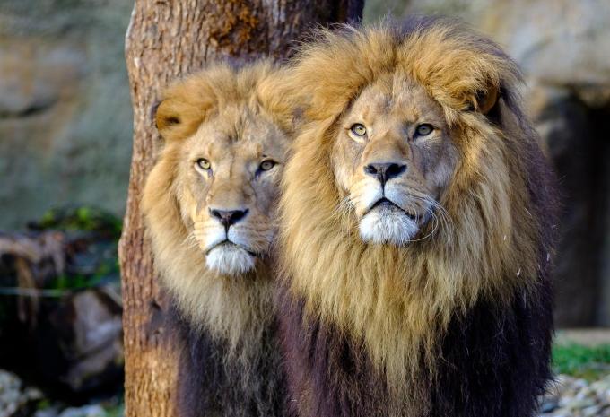 Tierpark Hellabrunn