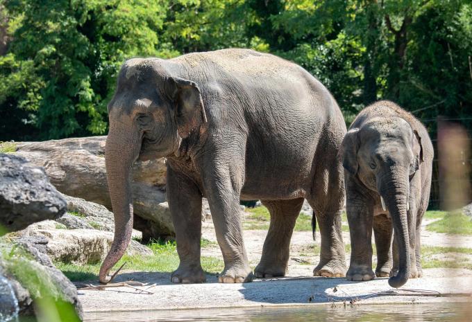 Tierpark Hellabrunn