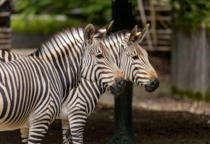 Tierpark Hellabrunn