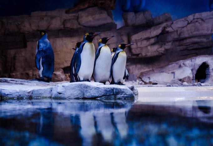 Tierpark Hellabrunn