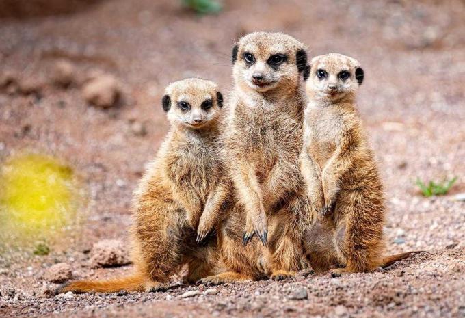 Tierpark Hellabrunn