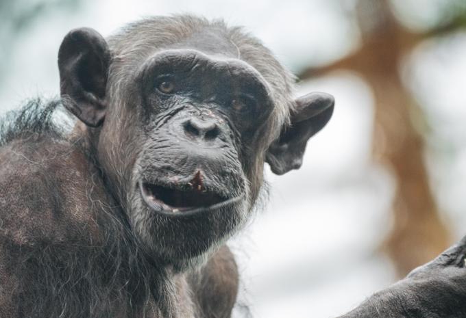 Tierpark Hellabrunn