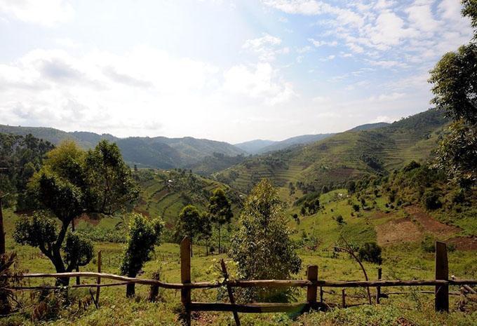 Uganda - Luxus Abenteuer-Rundreise