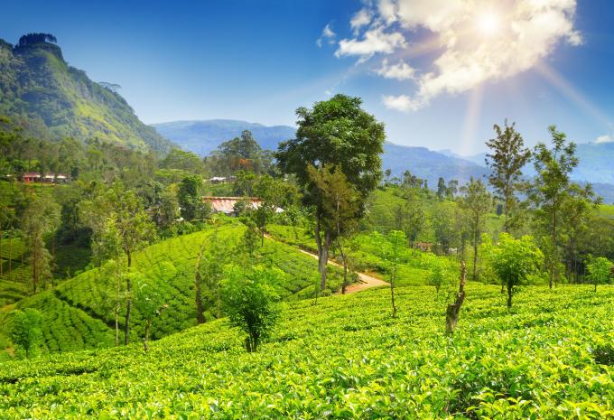 Sri Lanka - Rundreise & Baden