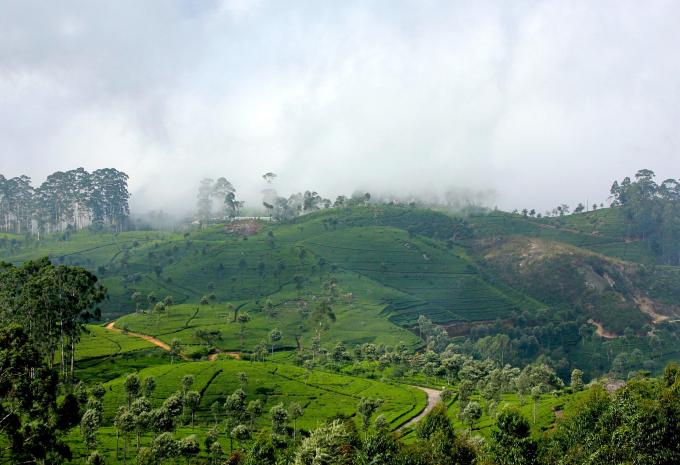 Sri Lanka - Rundreise & Baden