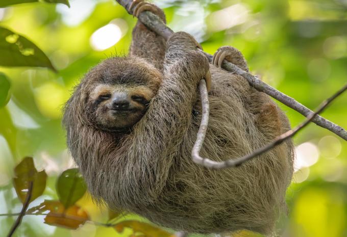 Panama & die Trauminseln der Südsee - Rundreise, Kreuzfahrt & Baden