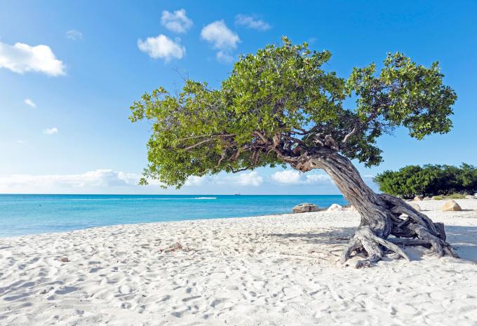 Silvester in Orlando & Karibik - Rundreise & Kreuzfahrt