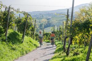In den Prosecco-Hügeln - E-Bike-Tour