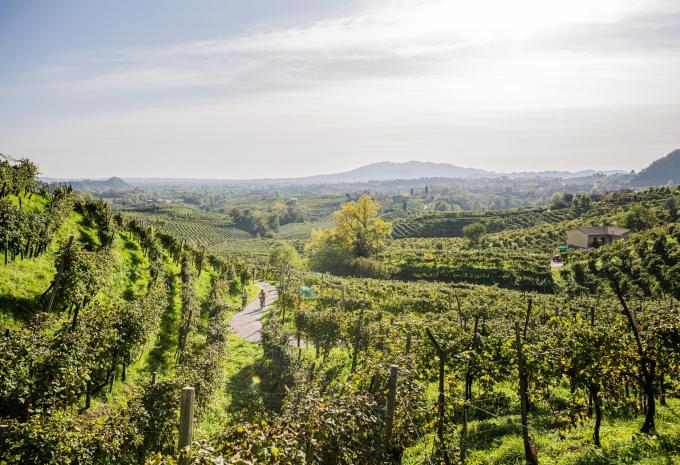In den Prosecco-Hügeln - E-Bike-Tour