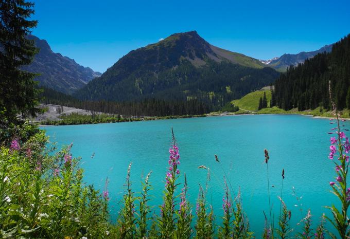 Arosa Arosa