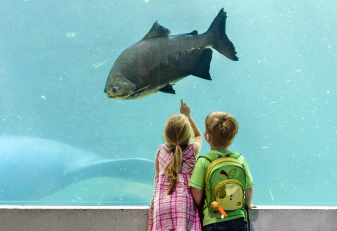 Tiergarten Nürnberg Tiergarten Nürnberg