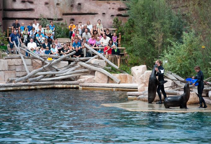 Tiergarten Nürnberg Tiergarten Nürnberg
