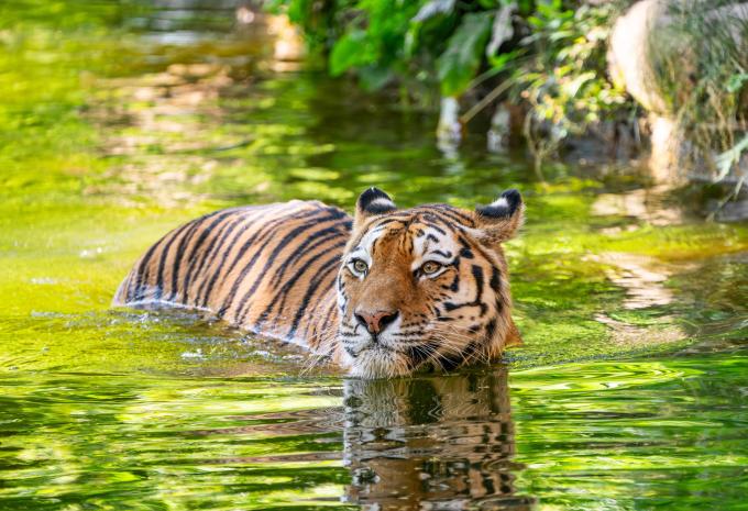 Tiergarten Nürnberg Tiergarten Nürnberg