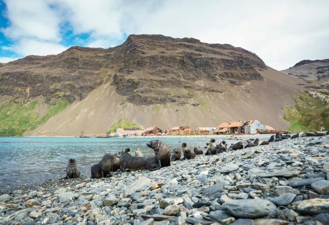 verlassene Walfangstation auf Südgeorgien