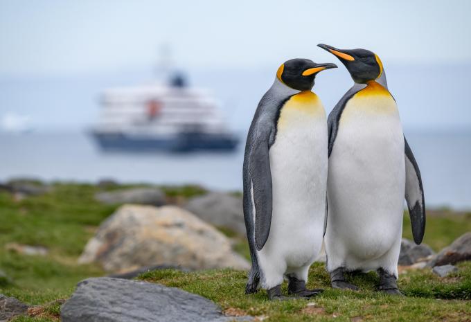 Antarktis & Südgeorgien - City-Trip & Expeditions-Kreuzfahrt