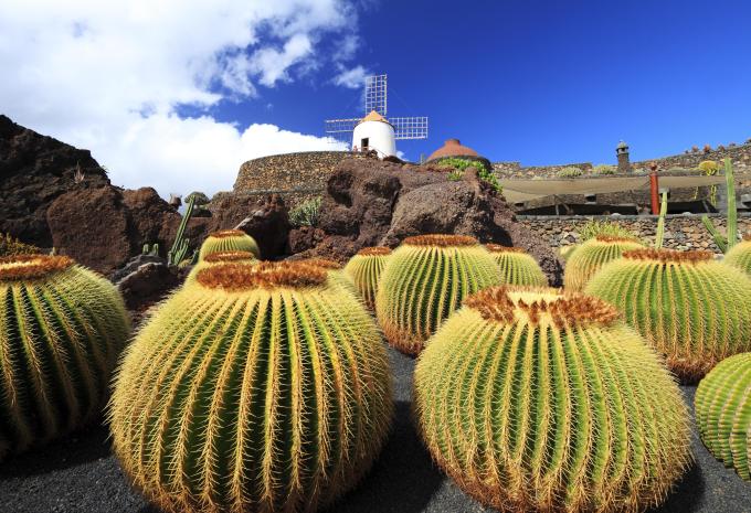 Kanaren & Madeira - Kreuzfahrt
