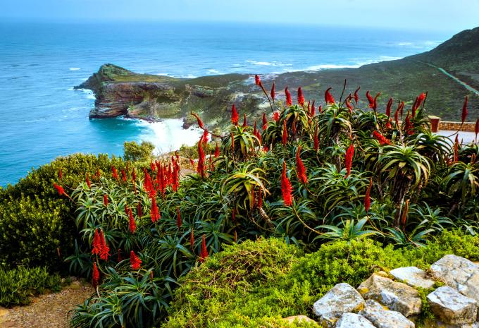 Von Südafrika nach Mauritius - Rundreise & Kreuzfahrt