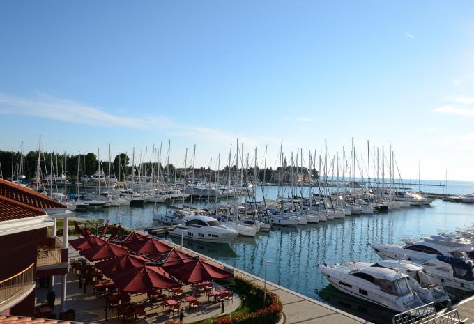 Novigrad