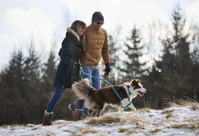 Ampflwang im Hausruckwald