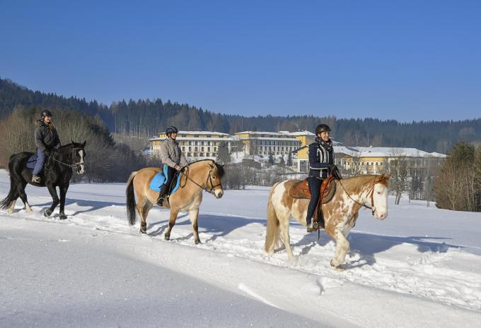 Ampflwang im Hausruckwald