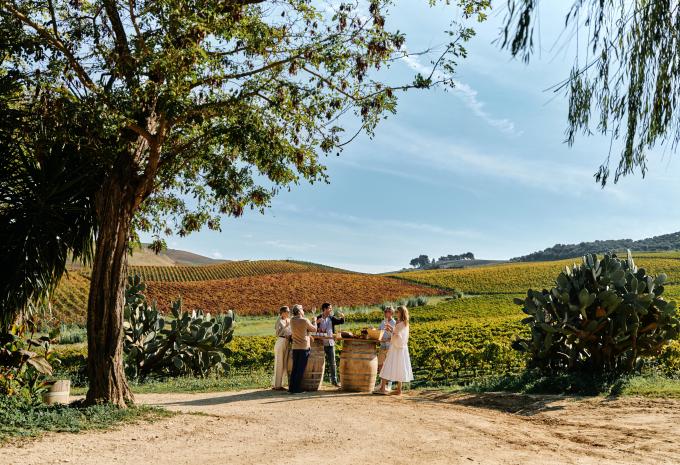 Weingut bei Palermo
