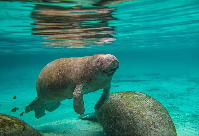 Florida - Fly, Drive & Sleep