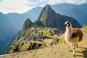 Peru & von Lima nach San Diego - Rundreise & Luxuskreuzfahrt