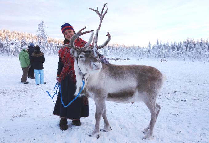 Besuch bei der Rentierfarm Besuch bei der Rentierfarm