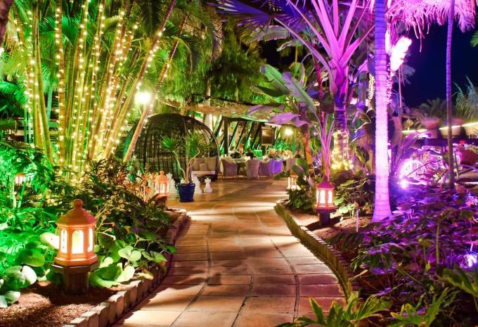 Hotel Parque Tropical