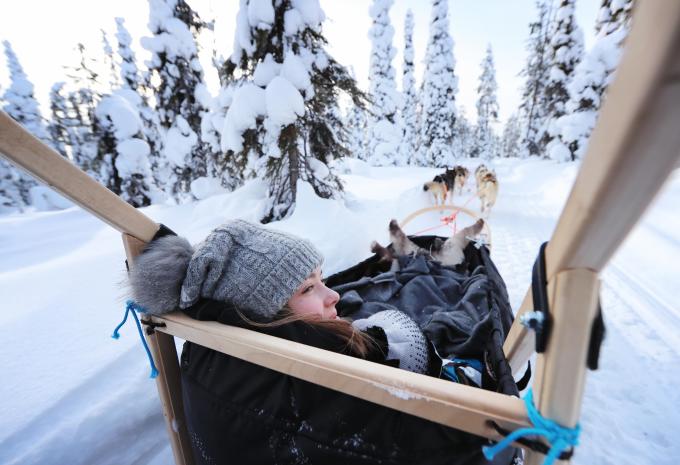 Huskyschlitten Huskyschlitten