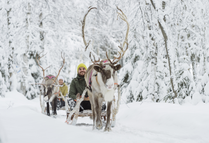 Rentierschlitten Rentierschlitten