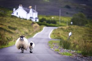 Irland