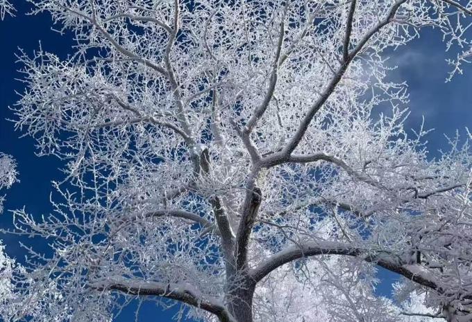 Eis- und Schneewelt von Nordostchina - Rundreise