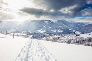 Mariazell