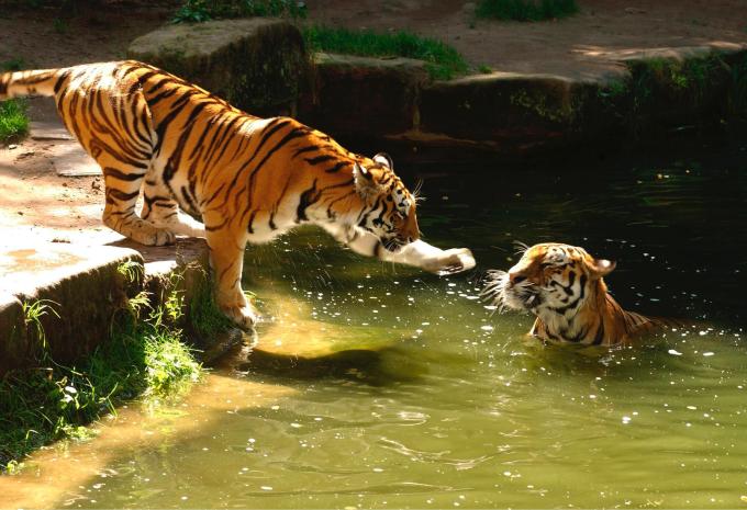 Tiergarten Nürnberg