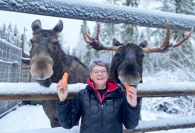 Besuch bei der Elchfarm