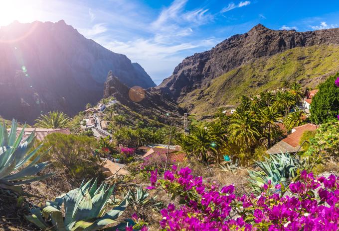 Imagebild Teneriffa