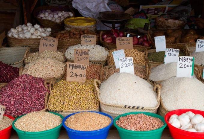 Sansibar - Safari & Baden