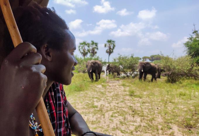 Sansibar - Safari & Baden