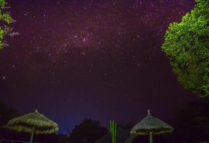 Sansibar - Safari & Baden