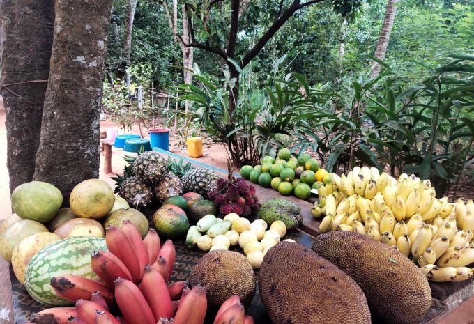 Sansibar - Safari & Baden