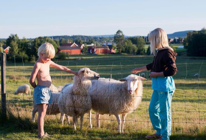 Familienreise Südschweden
