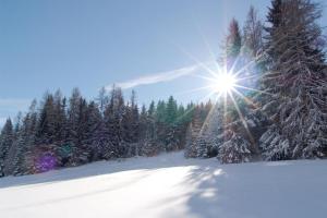 Ramsau am Dachstein