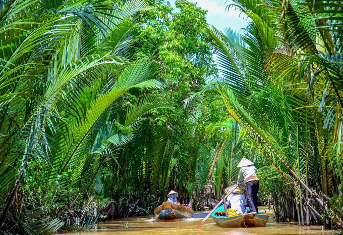 Mekong Delta