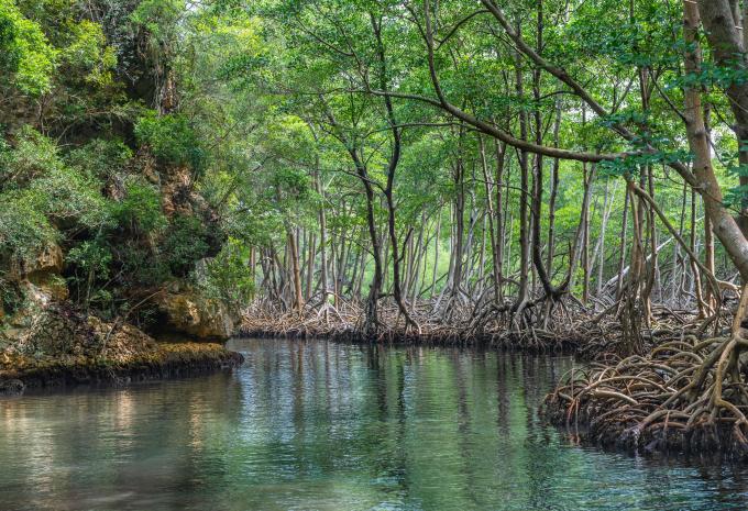 Nationalpark Los Haitises