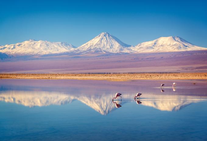 Laguna Chaxa, Atacama