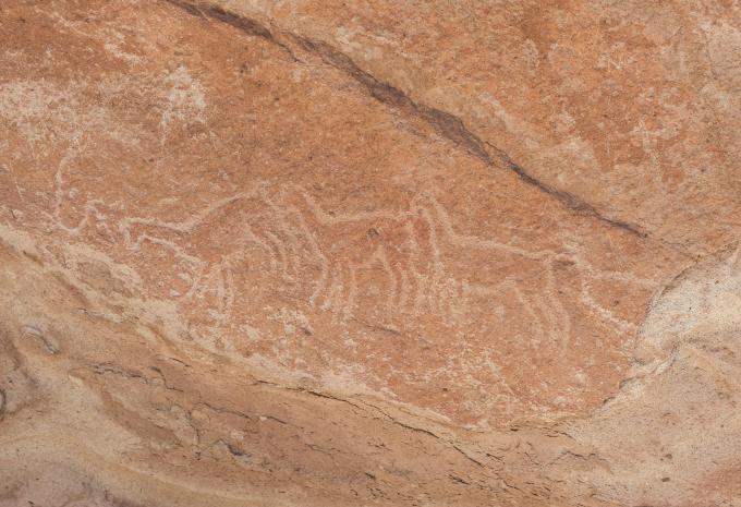 Yerbas Buenas Atacama