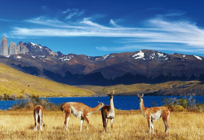 Torres del Paine Nationalpark