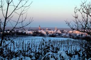 Rust am Neusiedler See