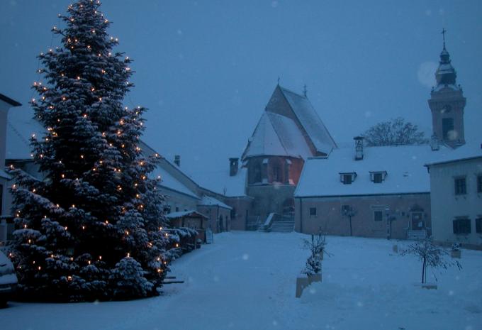 Rust am Neusiedler See